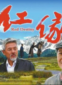 崩坏3节日活动：喜迎节庆的精彩玩法